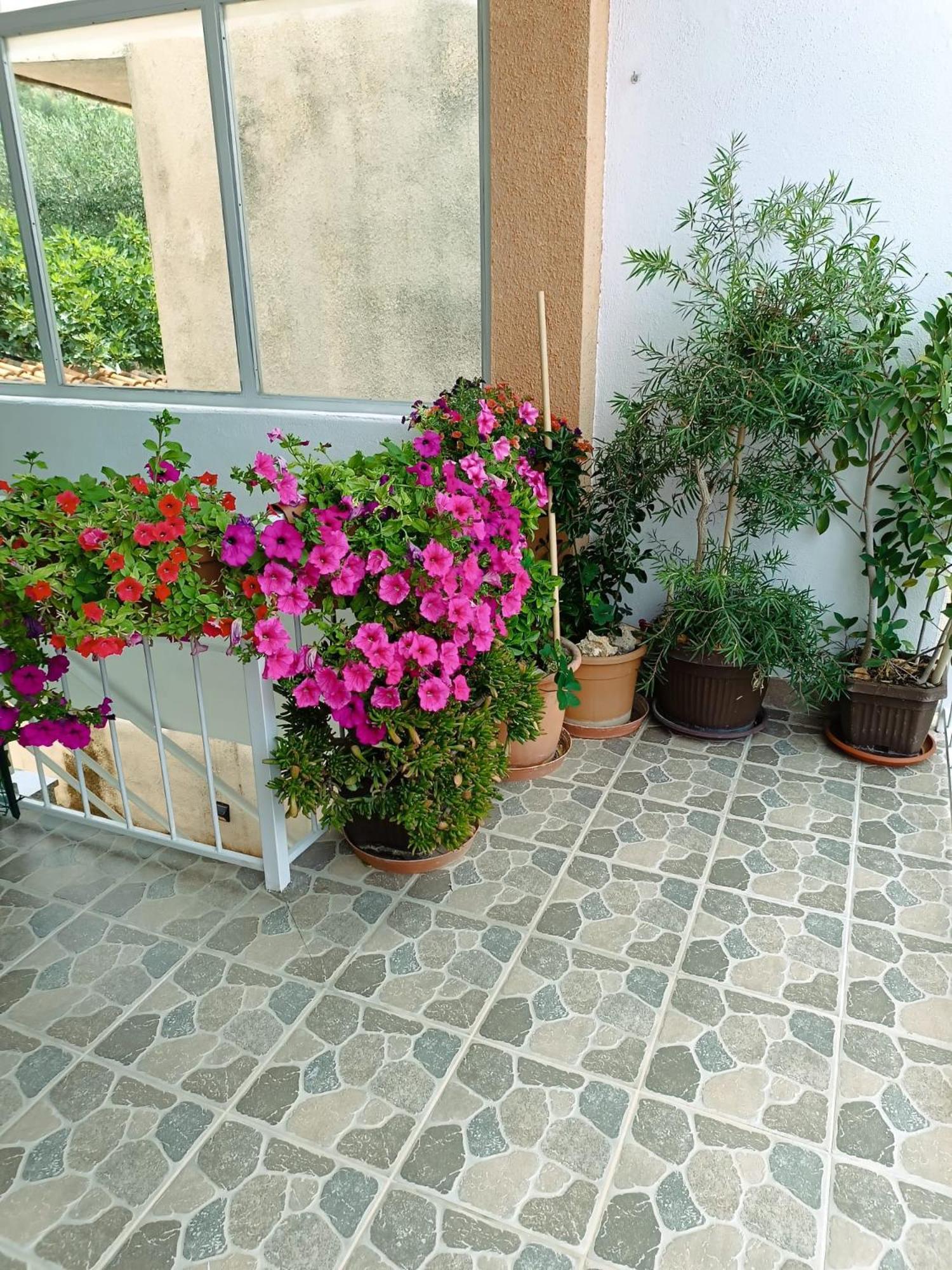 Apartments Turic Tučepi Εξωτερικό φωτογραφία